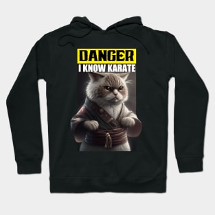 Cute kitten with Karate ( cute kitten) Hoodie